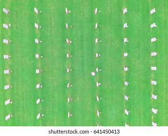 Aerial View Of US Military Cemetery In Houston, Texas, US. Endless Row Of White Marble Gravestones, Grave Markers With Flags And Flowers On Memorial Day To Honor Fallen Heroes In War, Military Service