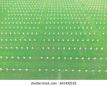 Aerial View Of US Military Cemetery In Houston, Texas, US. Endless Row Of White Marble Gravestones, Grave Markers With Flags And Flowers On Memorial Day To Honor Fallen Heroes In War, Military Service