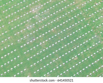 Aerial View Of US Military Cemetery In Houston, Texas, US. Endless Row Of White Marble Gravestones, Grave Markers With Flags And Flowers On Memorial Day To Honor Fallen Heroes In War, Military Service