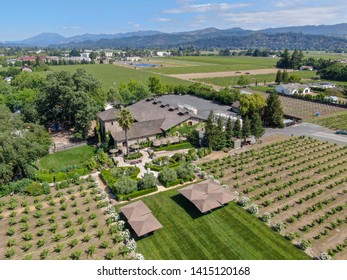 Aerial View Of V. Sattui Winery And Retail Store, St. Helena, Napa Valley, California, USA. People Enjoying Drink And Wedding Event In The Green Garden Surrounded By Vineyard 05/18/2019. 