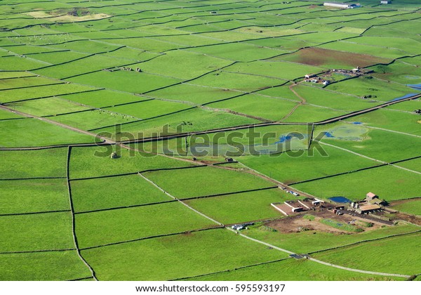 Aerial view of valley with farm fields and cows in\
the Terceira island in\
Azores