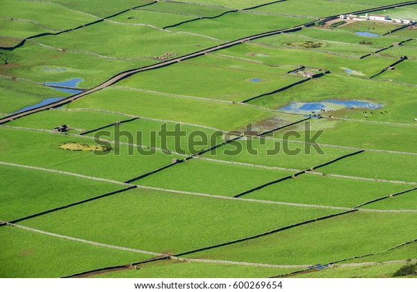 Aerial view of valley with farm fields,\
pond and cows in the Terceira island in\
Azores
