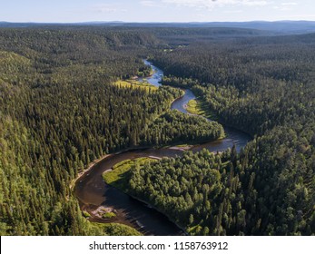 Aerial view of vast boreal aka taiga forest on sunny summer day in Oulanka National Park, Finland