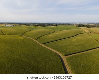 Aerial view of vast rolling farmland with golden fields, intersecting dirt paths and a distant barn under a clear sky - Powered by Shutterstock