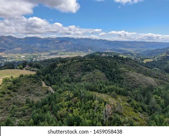 Aerial view of the verdant hills with trees in Napa Valley during summer season. Napa County, in California's Wine Country, part of the North Bay region of the San Francisco Bay Area.