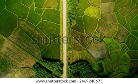 Similar – Aerial view of lush green rice field with small winding canal. Sustainable agriculture landscape. Sustainable rice farming. Rice cultivation. Green landscape. Organic farming. Sustainable land use.