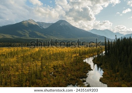 Aerial view of the Vermilion lakes area where the trees in autumn have yellow leaves, on a cloudy day with sun reflections.