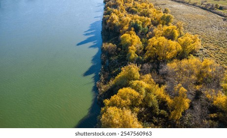 Aerial view of vibrant autumn foliage along a serene riverbank, showcasing golden trees and lush greenery. - Powered by Shutterstock