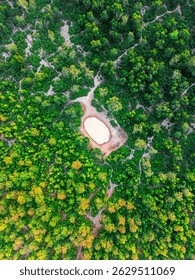 Aerial view of vibrant forest in spring with a still lake mirroring the sky. Ideal for nature, growth, tranquility, and eco-conscious concepts.