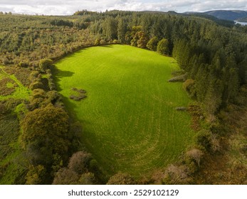 Aerial view of a vibrant green field with tire tracks, nestled amidst a lush forest displaying autumn colors - Powered by Shutterstock