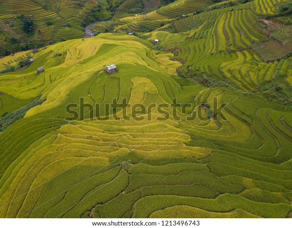 Aerial View Vietnam Landscapes Rice Fields Stock Photo 1213496743 ...