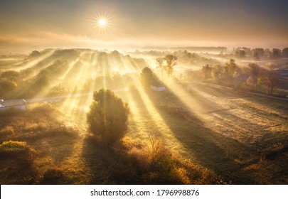 Aerial view of village in fog with golden sunbeams at sunrise in autumn. Beautiful rural landscape with road, buildings, foggy colorful trees, church, orange sky with sun. Fall in Ukraine. Top view - Shutterstock ID 1796998876