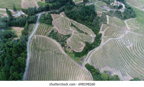 Aerial View Of Vineyard