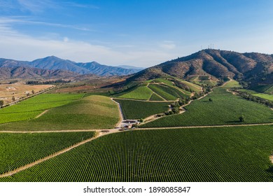 Aerial View Of Vineyard At Casablanca, Chile