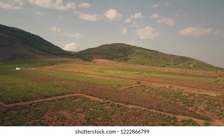 Aerial View Of Vineyard In Mountains Area Of Sierra Nevada, Spain