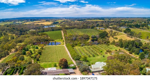 Aerial View Of Vineyard On Mornington Peninsula, Australia