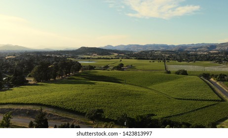 Aerial View Of Vineyard Valley In Napa, California

