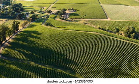 Aerial View Of Vineyard Valley In Napa, California

