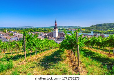 Aerial view of vineyards Rheingau wine region, Rudesheim am Rhein historical town centre with St. Jakobus church and Rhine river, blue sky background, Rhineland-Palatinate and Hesse states, Germany