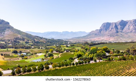 Aerial View Of Vineyards In Stellenbosch Region In Cape Town, South Africa. 