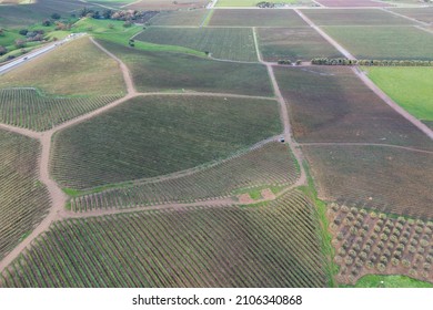 Aerial view of vineyards in the Tri-valley region of Northern California, just east of San Francisco Bay. This beautiful area, Dublin, Pleasanton and Livermore, is home to many wineries.