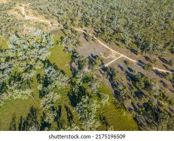 Aerial View Of The Walking Tracks And Platform Visible Through The Trees Within The Sapphire Wetlands Nature Reserve Queensland Australia.