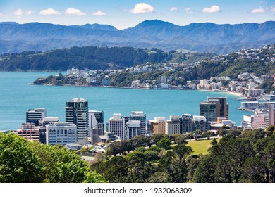 Aerial View Of Wellington, Capital City Of New Zealand