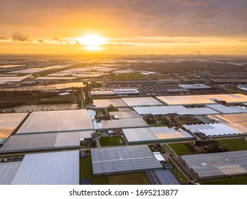 Aerial View Of Westland Or Glass City Greenhouse Horticulture Area In The Netherlands. One Of The Biggest Food Production Areas In The World An A Huge Engine Of The Dutch Economy.