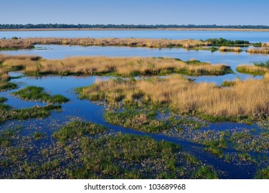 Aerial View Of Wetland