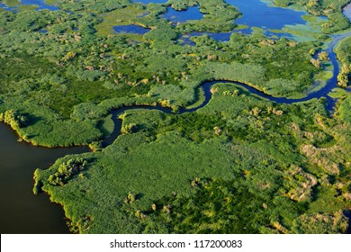 Aerial View Of Wetland