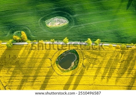 Aerial view of wheat and rape fields in countryside. Aerial view of agriculture in Poland.