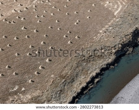 Aerial view of wheat sheaves patterned by canal and road