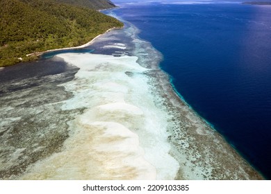 Aerial View Of White Sandy Beach, Pulau Mansuar, Raja Ampat Indonesia.