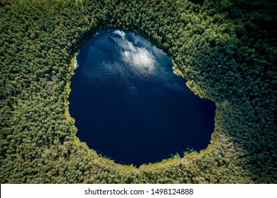 Aerial View Of Wild Forest Lake