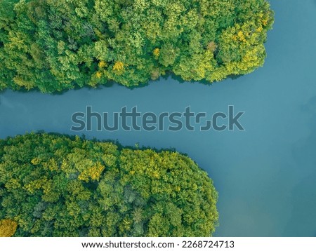 Aerial view of wild landscape with forest on lake shore.