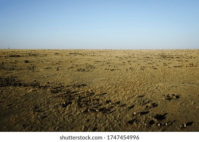 
Aerial View Of Wildebeest Migration In The African Savannah, Masai Mara