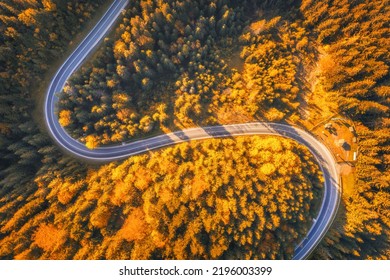 Aerial View Of Winding Empty Road In Colorful Autumn Forest At Sunset. Top View From Drone Of Mountain Road In Woods. Beautiful Landscape With Roadway, Trees With Orange Leaves In Fall. Ukraine