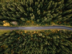 Luftbild Der Gewundenen Kiesstraße Und Des Bunten Waldes Im Herbst
