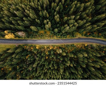 Aerial view of winding gravel road and colourful forest in autumn
