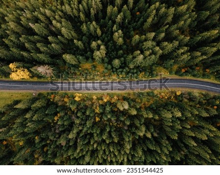 Aerial view of winding gravel road and colourful forest in autumn

