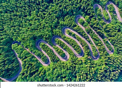 Aerial view of a winding mountain road passing through a fir trees forest