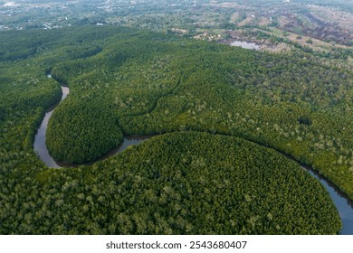 Aerial view of a winding river making its way through a vibrant mangrove forest - Powered by Shutterstock