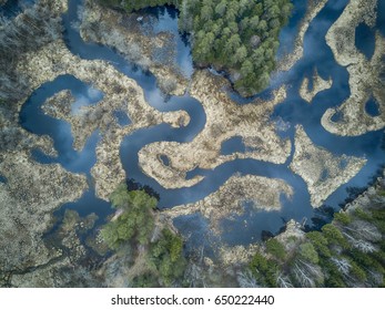 Aerial View Of A Winding River And Mixed Tree Forest. 