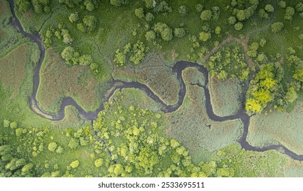 Aerial view of a winding river of Soomaa National Park, Estonia, flowing through a lush green landscape with dense vegetation and trees. - Powered by Shutterstock