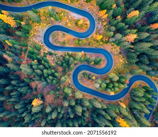 Aerial view of winding road in autumn forest. Splendid morning scene of asphalt roadway among fir and larch trees. Highway through the woodland in fall. Traveling concept background.