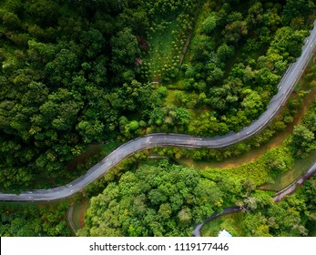 Aerial View Of Winding Road In The Forest