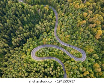 Aerial view of winding road in high mountain pass trough dense green pine woods. - Powered by Shutterstock