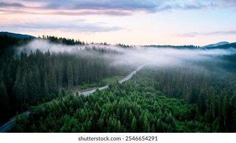 Aerial view of winding road snakes through dense, mist-covered forest in early morning light. Lush green trees with layers of mist creating dreamlike atmosphere as mountains rise in background. - Powered by Shutterstock