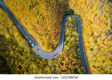 Aerial view of winding road  through Pezinska baba forest in autumn colors, Slovakia