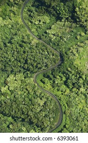 Aerial View Of Winding Road Through Lush Green Forest In Maui, Hawaii.